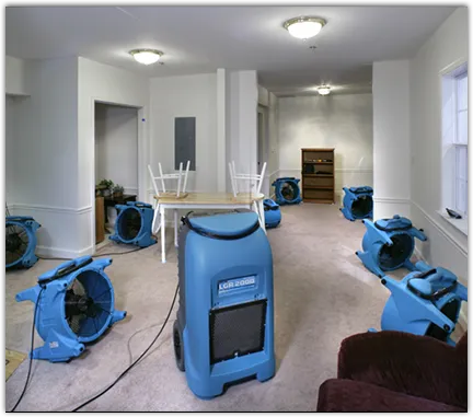 Contents Cleaning & Restoration in Mountain View, CA