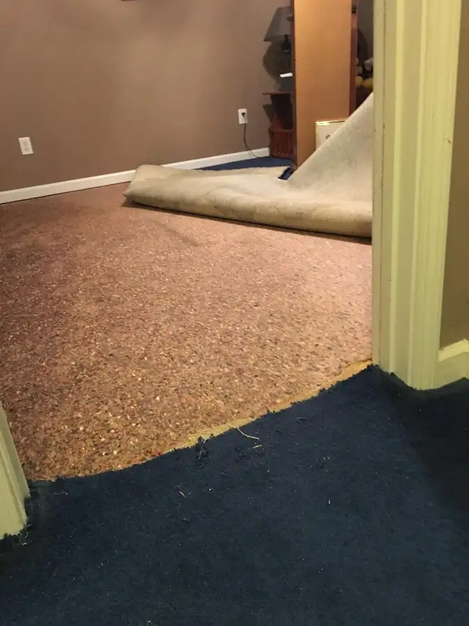 Carpet pad removal revealing water damage during Water Mitigation Services in Mountain View