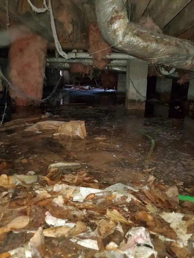 Crawl space flood assessment for Leak Detection & Repair in Mountain View